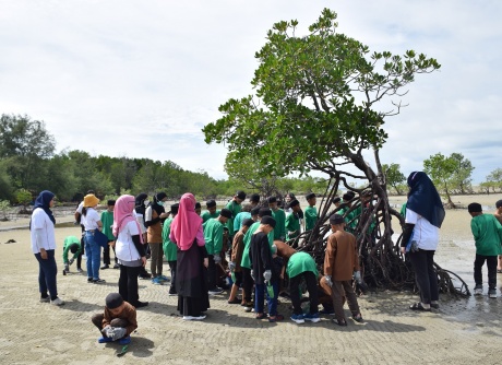 Beach Cleaning & Mangrove Seed Planting - 07